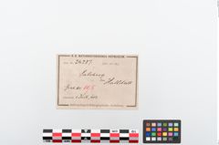 Etiketten zu Bronzeschaftlappenbeil (NHMW-PRAE-024287)